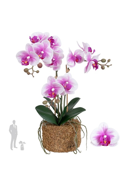 Roberto Rossi Orhidee artificiala alb cu roz cu aspect H49 cm cu 3 tulpini