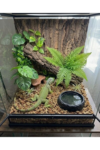 nexlun Cozy Gecko İguana Teraryum Su ve Yem Kabı – Doğal Kütük Görünümlü Sürü...