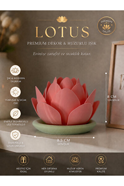 zulya Lotus Mumluk LED Işıklı Dekoratif Masa Üstü Biblo | Modern Minimalist P...