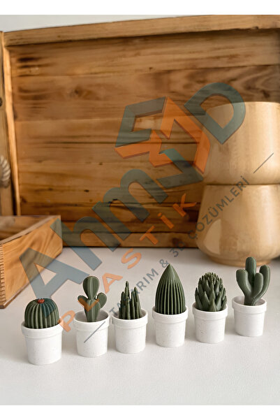 Ahm3D Plastik Mini Kaktüs Buzdolabı Magneti Seti (6'LI)