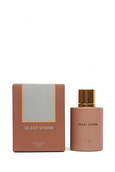DeFacto Silent Storm Erkek Parfüm 100 ml Uzun Süre Kalıcı Maskülen ve Fresh Koku