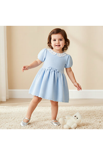 giggles Peter Pan Collar Short Sleeve A-line Dress with Floral Applique
