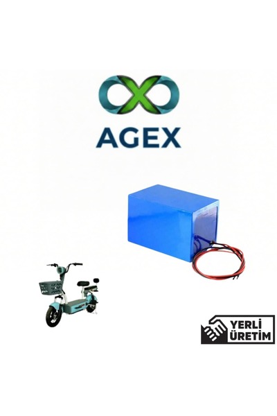 agex enerji Arora Casper Max Uyumlu 48 Volt 12 Ah LiFePO4 Batarya
