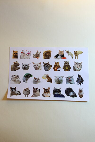 Leapin Craft Komik Kedi Sticker Seti (28 adet/parlak PVC sticker kağıdı)