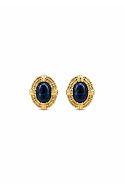 Charmist Steel Aster Earrings