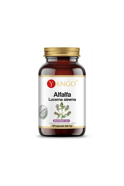 YANGO Alfalfa Lucerna Siewna