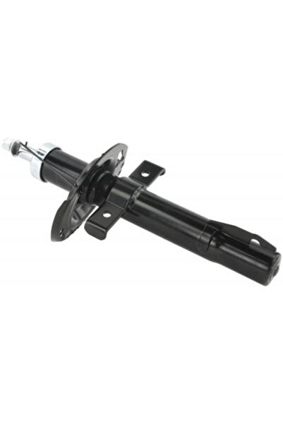 FEBEST amortizor 24110-008F