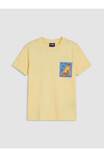 LC Waikiki Crew Neck Short Sleeve Printed Boys' T-Shirt