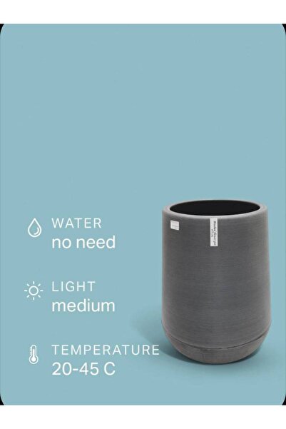 OEMS Light Gray Plastic Basin
