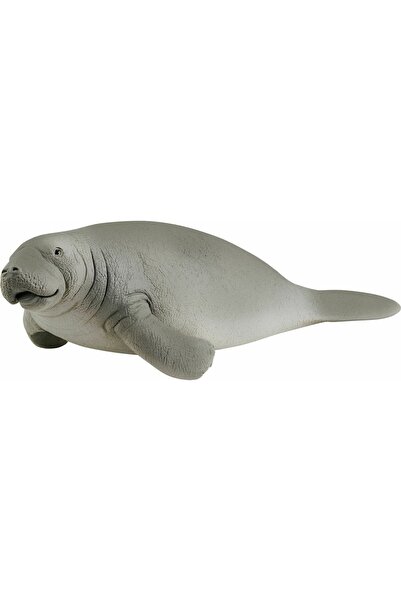 SCHLEICH Ζώα Φώκια (SCH14839)