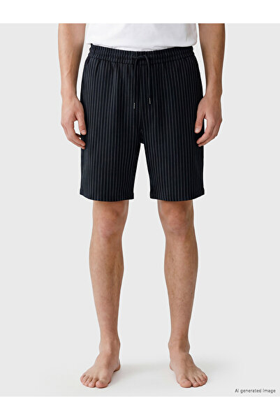 LC Waikiki Ozmarka New Season Regular Fit Striped Men's Shorts
