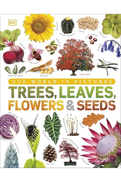 DK CHİLDREN Our World In Pictures Trees Leaves Flowers And Seeds