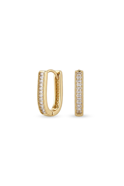 Charmist Steel Zircon Regal Earrings