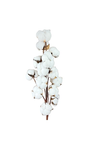 OEM Ramură Artificială Bumbac Alb 65 cm
