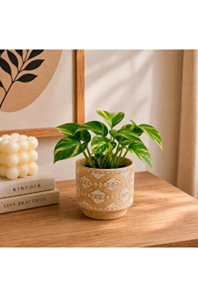 Warehouse Concrete planting pot - indoor and outdoor plant pot