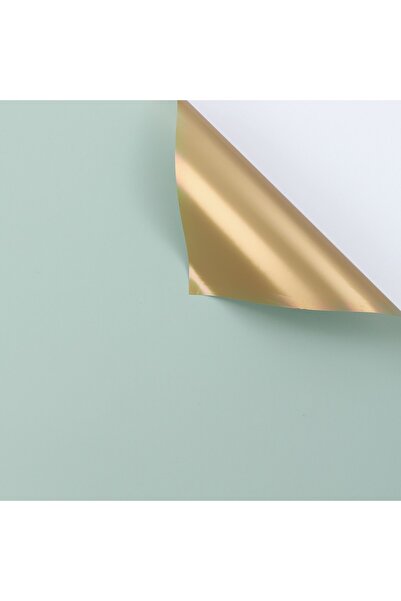 OEM Celofan Bicolor Plastic Verde Intens 58x58 cm