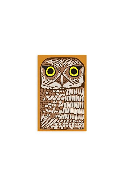 Retro 51 دفتر ملاحظات كلاسيكي من Owl Rescue