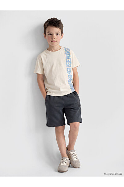 LC Waikiki Vizyon New Season Printed Boys' Shorts