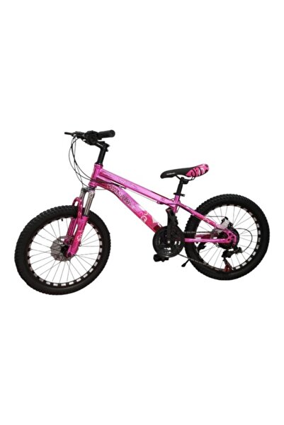 CARAIMAN Bicicletă 2023, Culoare roz, Cod CR-20, 20 inch, Cadru din oțel, Frâ...