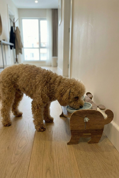 GOBYPET Ahşap Özel Isim Baskılı, Köpek Seramik Mama Su Kabı Standı