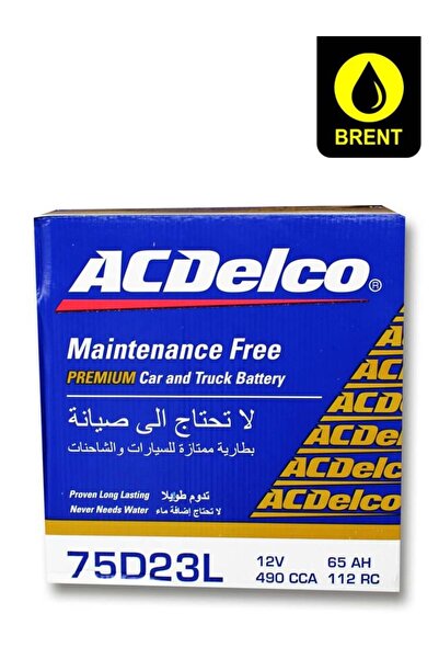 ACDELCO 75Ah Heavy Duty Long Life Car Vehicle Auto Battery 75D23L 12 V