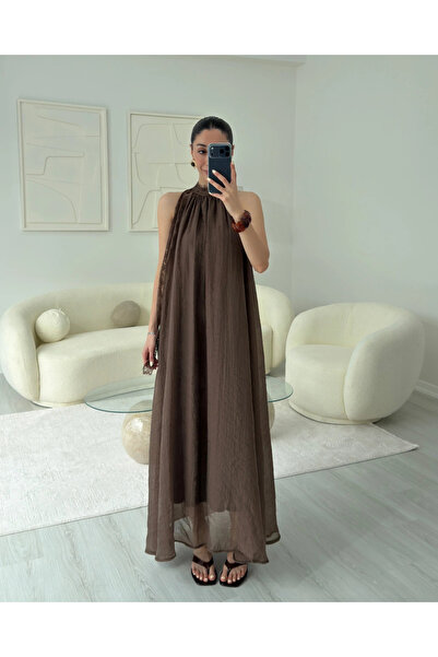 My Blog Brown Collared Lace Dress - 3438