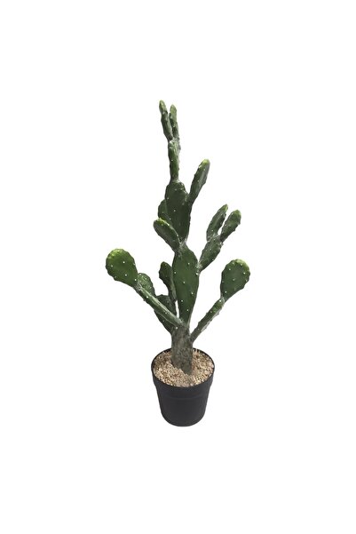 SUPERGREENS Τενητό Φυτό Φραγκοσυκιά "Opuntia" 76 εκ.
