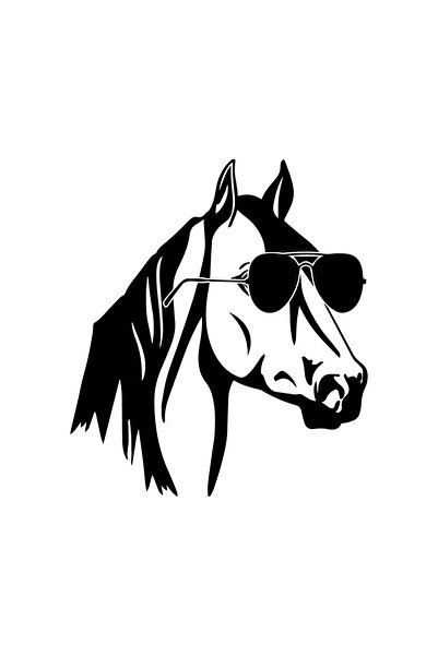 Amo-Stickers Sticker Auto Cal ochelari Soare 30cm Alb