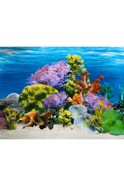 canlipetshop Arka Fon (Mercan Bahçesi) Uzunluk 50 Cm (YÜKSEKLİK 30 CM) No:9024