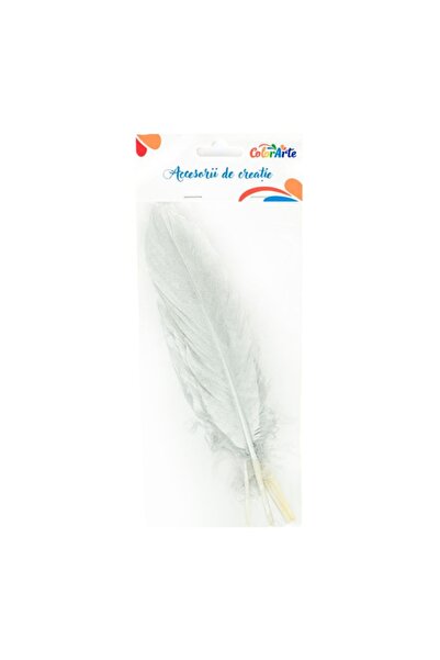 MC Micostore Accesorii creatie - pene argintii, 15-20cm, set 4 buc, Colorarte