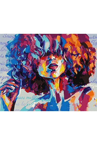 ideyka Set pictura pe numere Jasny obraz, panza 40x50 cm, 23 culori, Multicolor