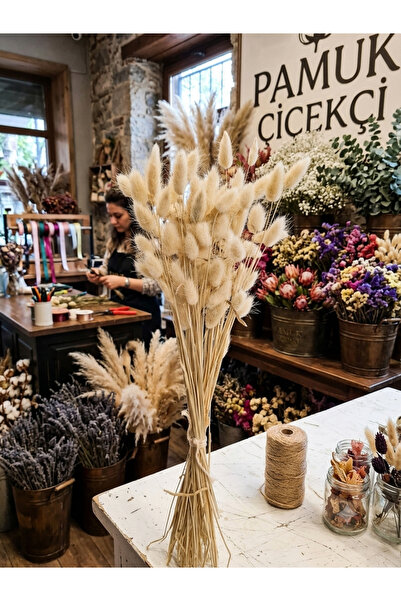 Be Candlous 80 Dal Doğal Kurutulmuş Pamuk Otu - 40 cm - Vizon Bej Tavşan Kuyruğu