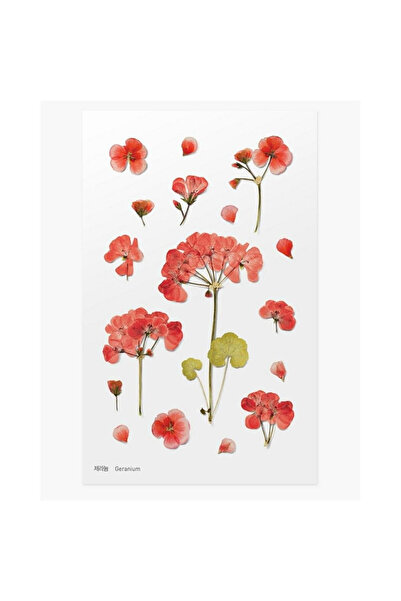APPREE Stickere decorative Geranium multicolor 15x9.4cm