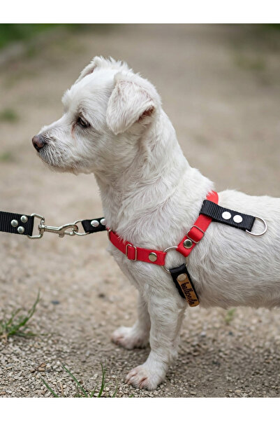 balkonda Dog Chest Harness Small & Medium Breeds Adjustable Front and Back Pu...