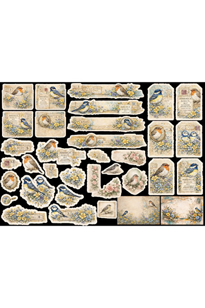 TELLGRAF Birds Themed Sticker Set (21X31 cm 1 Set)