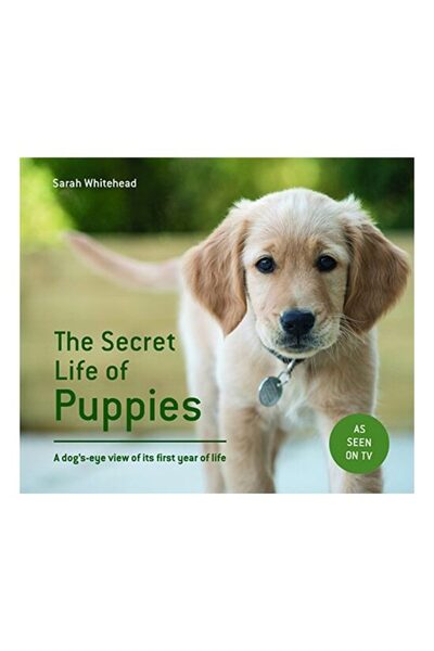 Harper Collins Viața secretă a cățeilor
