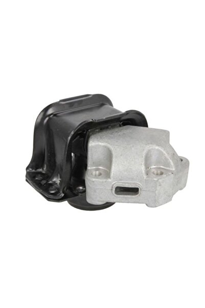 REINHOCH Suport motor RH11-2089