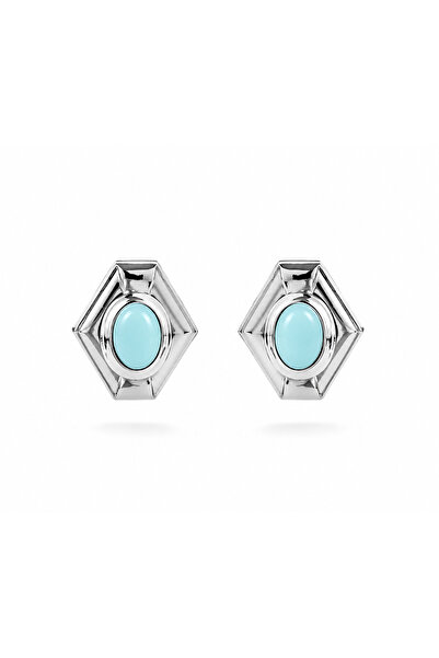Venus Design Steel Agata Earrings