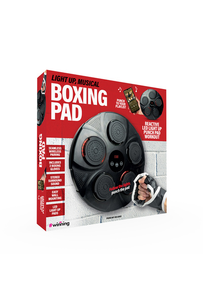 OEM The Source - Light Up Musical Boxing Pad