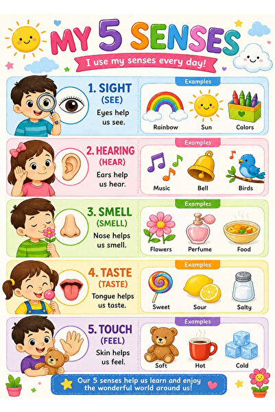 TELLGRAF لوحة الإدراك الحسي باللغة الإنجليزية (مقاسها 25×35 سم)