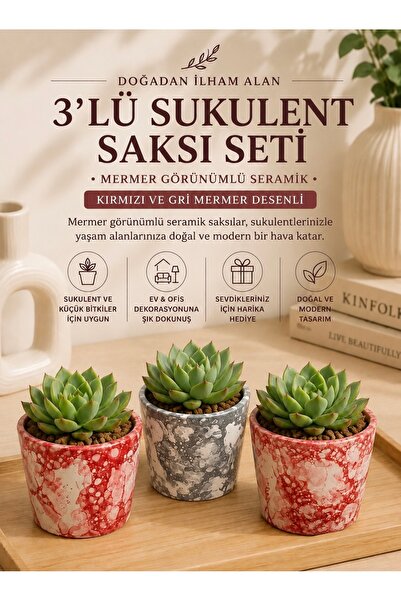 3’lü Seramik Sukulent ve Küçük Süs Bitkisi Saksı Seti – Kırmızı & Gri Mermer Görünümlü