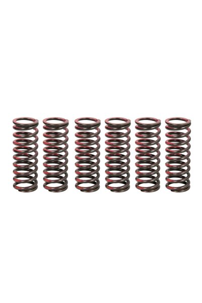 TRW Set Arcuri Ambreiaj Suzuki Rm-z 450 2005-2007 SUZUKI RM-Z