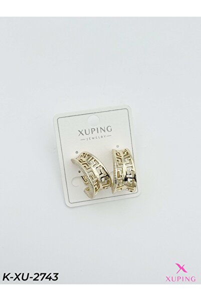 Bozhi Elegant Earrings Daily Elegance Gift