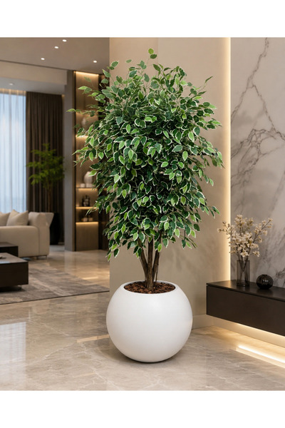 RUZGARCİCEK Rüzgar Yapay Çiçekçilik 170 cm Boyunda Küre Saksıda Ficus Ağacı