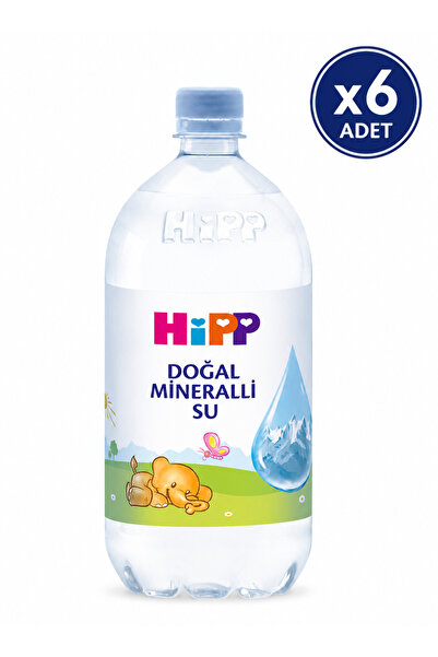 Hipp Doğal Mineralli Su 1 Litre - 6'lı Paket