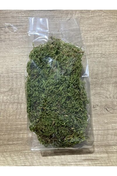 ALTIN GIDA 45 25 Gr Doğal Kaya Yosunu | Gerçek Yosun Çim | Solmaz Bozulmaz | ...