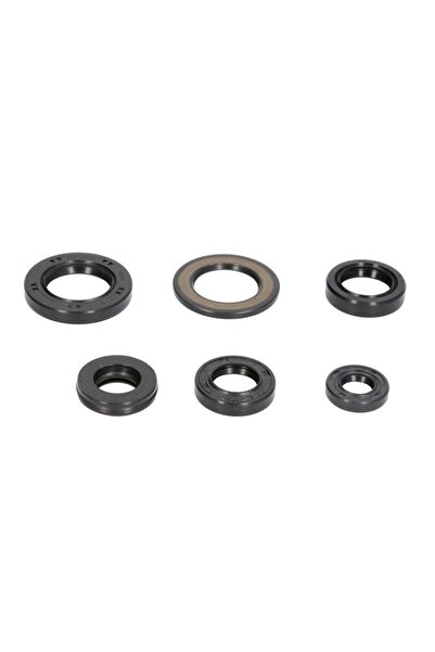 WINDEROSA Set de Garnituri de Motor (cantitate in Set 6 Buc) Yamaha Tt Xt 600...