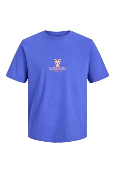 Jack & Jones Jorhyeres tee ss crew neck fst.
