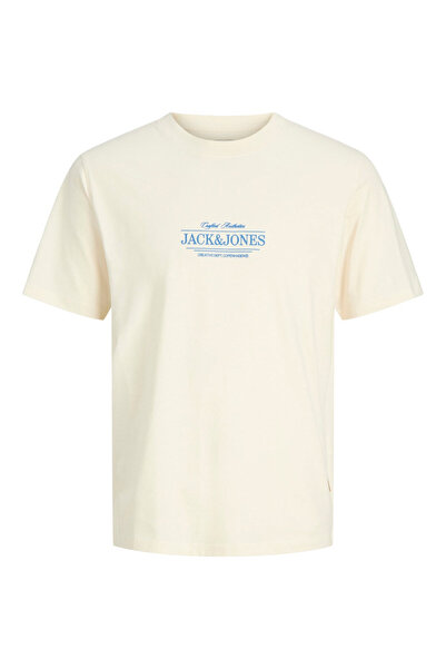 Jack & Jones Jorcassis Minimal Tee Ss Crew Neck