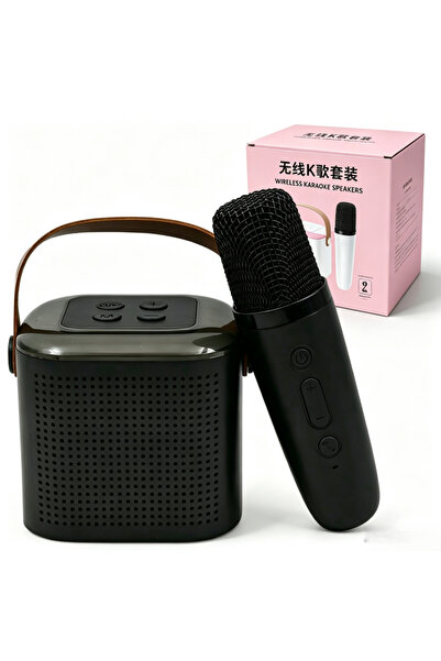 Boyue Mini Portable Bluetooth Karaoke Speaker with Wireless Microphone, Recha...